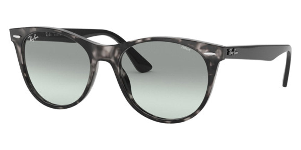 Ray-Ban® Wayfarer Ii RB2185