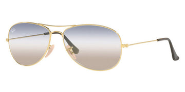 Ray-Ban® Cockpit RB3362