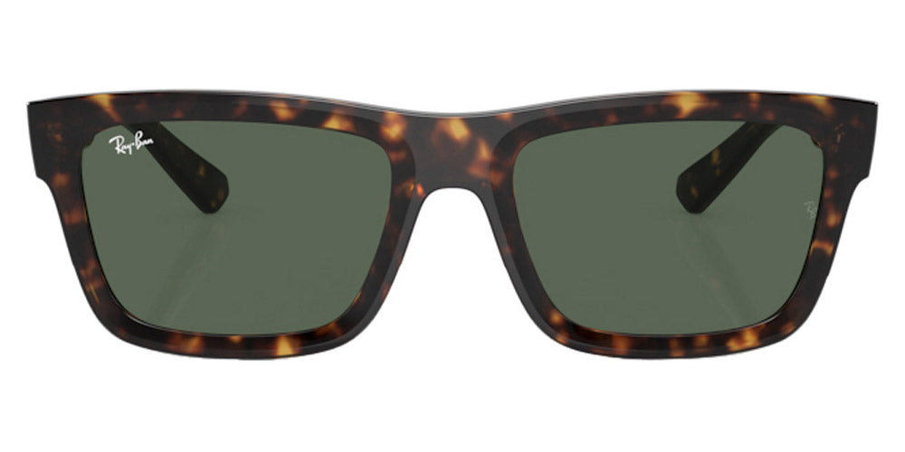 Ray-Ban® Warren RB4396F