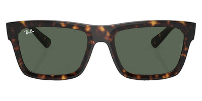 Ray-Ban® Warren RB4396