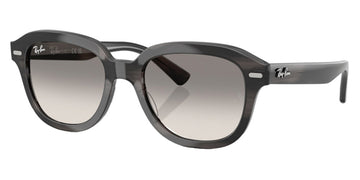 Ray-Ban® Erik RB4398F