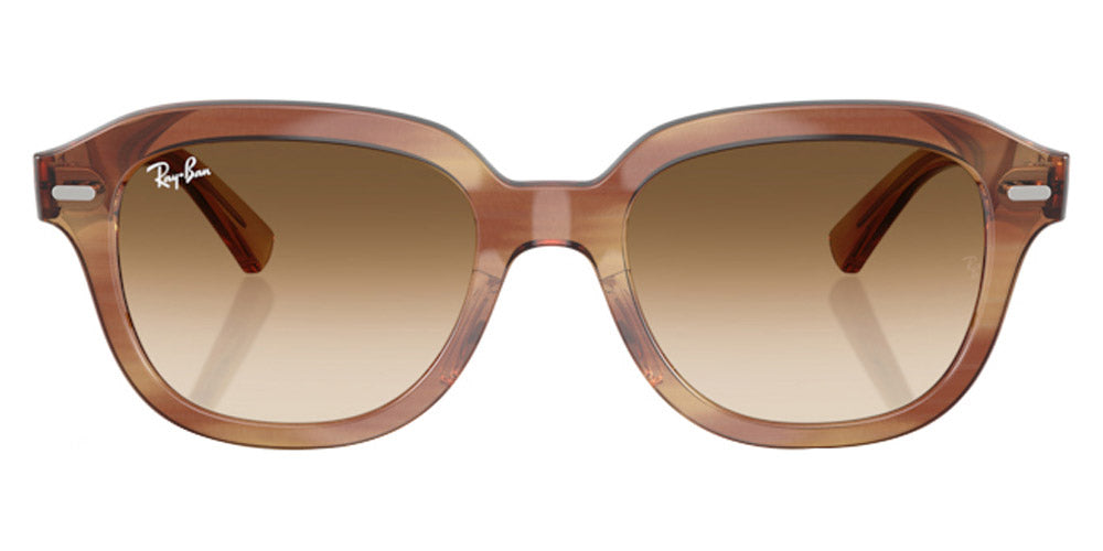 Ray-Ban® Erik RB4398