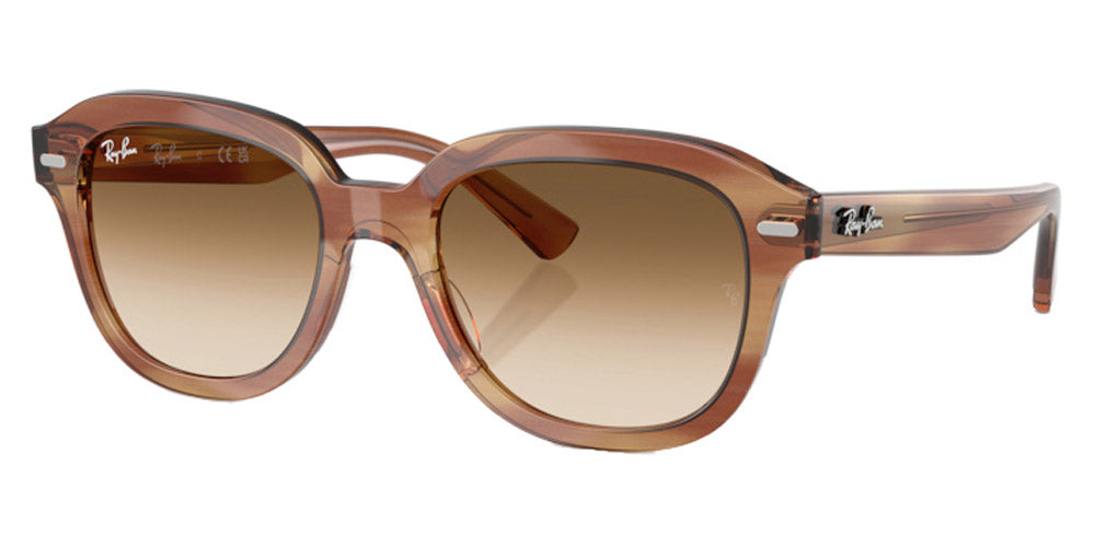 Ray-Ban® Erik RB4398