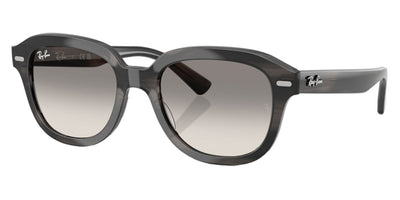 Ray-Ban® Erik RB4398