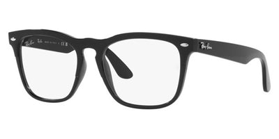 Ray-Ban® Steve RX4487V