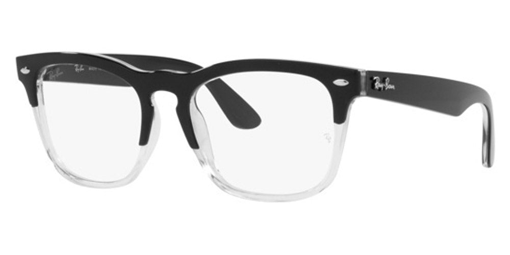 Ray-Ban® Steve RX4487V