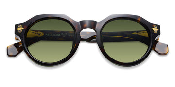 Etnia Barcelona® OLLER SUN 5 OLLER 49S HV - HV Havana Sunglasses