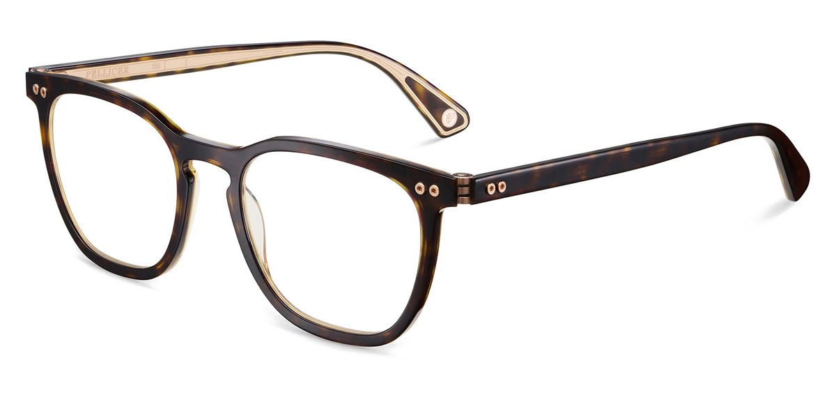 Etnia Barcelona® PUIG 5 PUIG 50O HVCL - HVCL Havana/Clear Eyeglasses