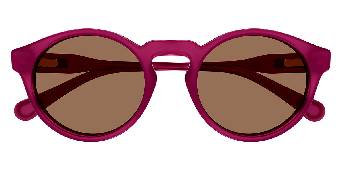 Chloé® CC0014S CHO CC0014S 001 46 - Violet Sunglasses