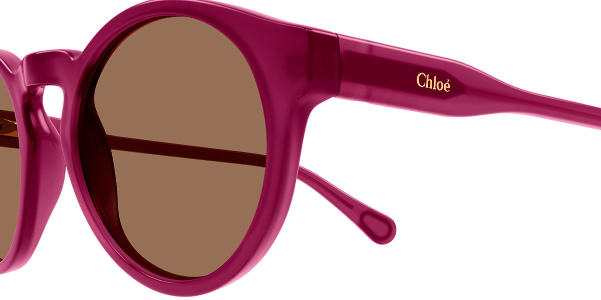 Chloé® CC0014S CHO CC0014S 001 46 - Violet Sunglasses