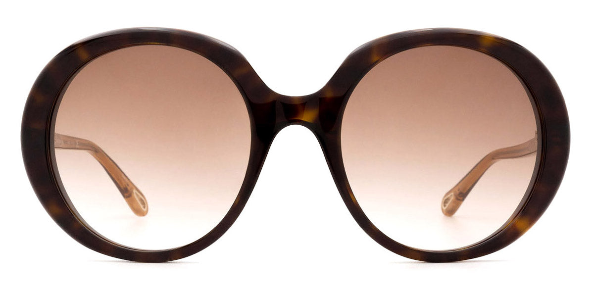 Chloé® CH0007S CHO CH0007S 004 54 - Havana/Brown Sunglasses