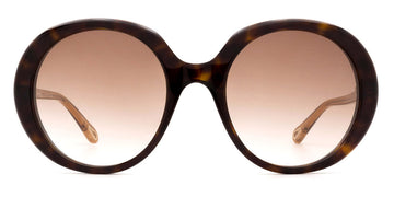 Chloé® CH0007S CHO CH0007S 004 54 - Havana/Brown Sunglasses