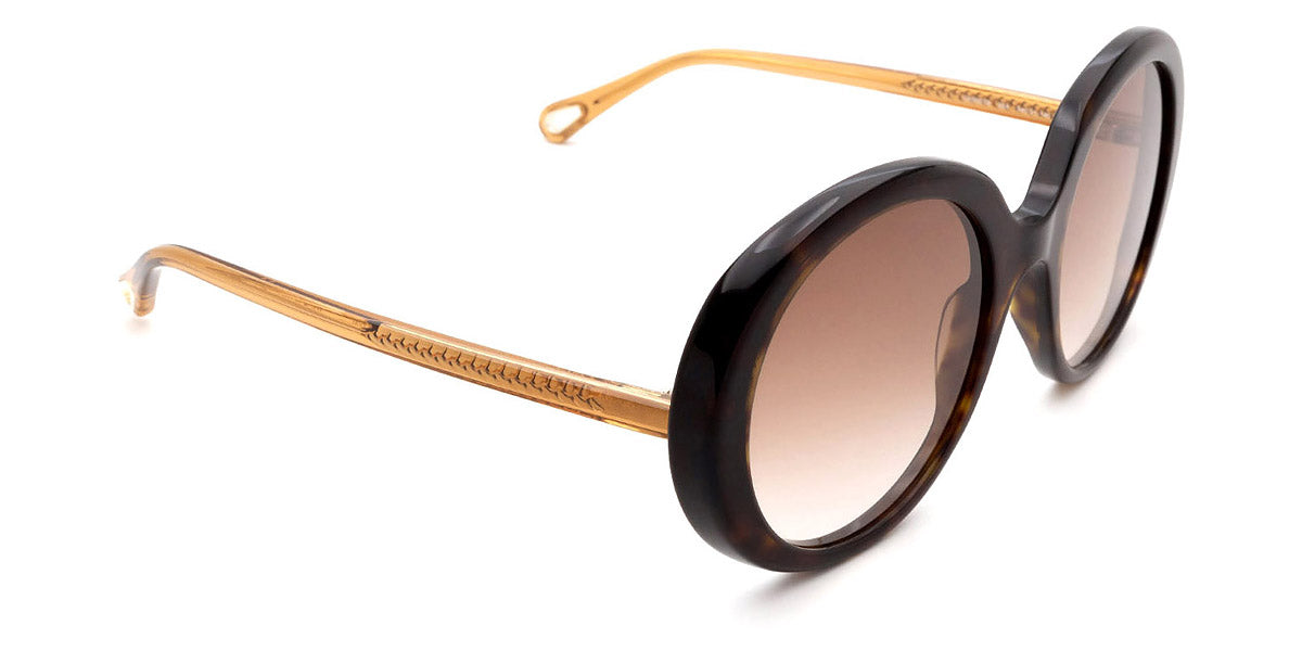 Chloé® CH0007S CHO CH0007S 004 54 - Havana/Brown Sunglasses