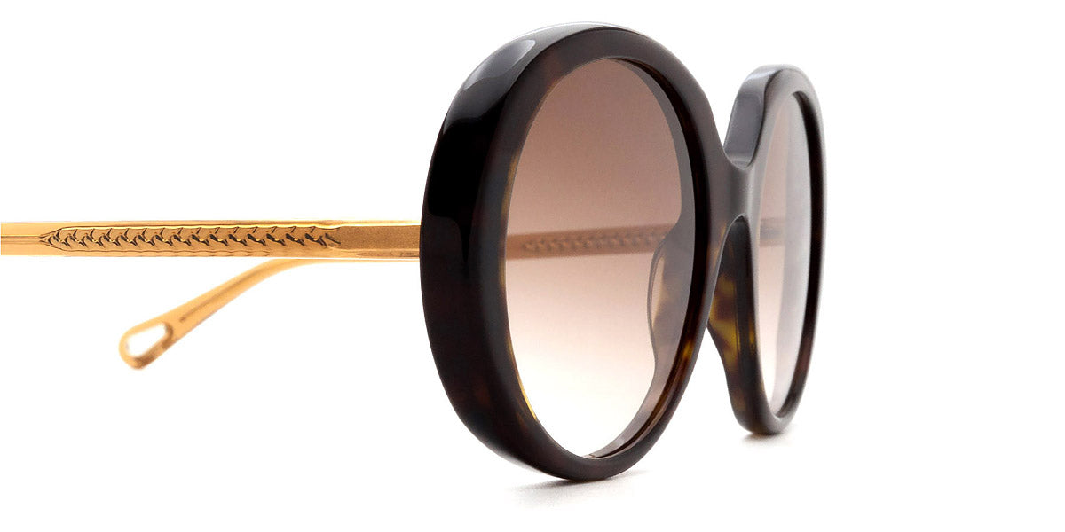 Chloé® CH0007S CHO CH0007S 004 54 - Havana/Brown Sunglasses