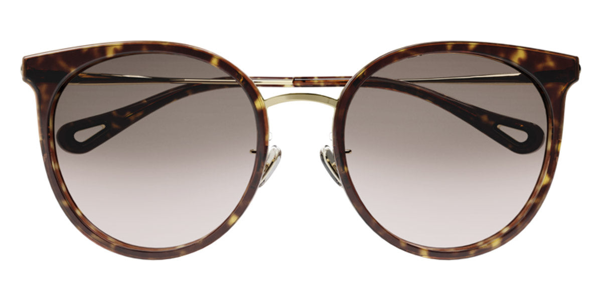 Chloé® CH0060SK CHO CH0060SK 002 56 - Havana/Gold Sunglasses