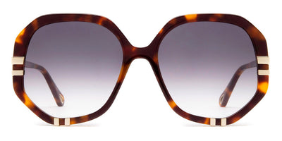 Chloé® CH0105S CHO CH0105S 004 58 - Havana Sunglasses