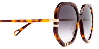 Chloé® CH0105S CHO CH0105S 004 58 - Havana Sunglasses