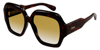 Chloé® CH0154S CHO CH0154S 002 56 - Havana Sunglasses