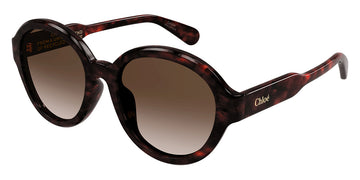 Chloé® CH0156SK CHO CH0156SK 002 54 - Havana Sunglasses