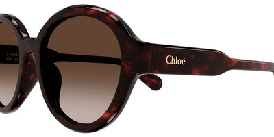Chloé® CH0156SK CHO CH0156SK 002 54 - Havana Sunglasses