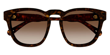 Chloé® CH0160S CHO CH0160S 002 54 - Havana Sunglasses