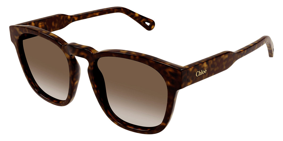 Chloé® CH0160S CHO CH0160S 002 54 - Havana Sunglasses