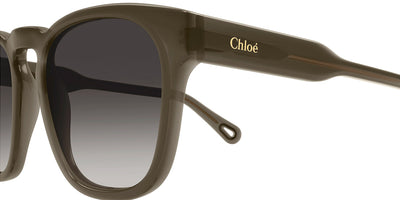 Chloé® CH0160S CHO CH0160S 004 54 - Brown Sunglasses