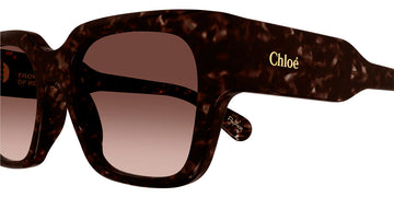 Chloé® CH0190S CHO CH0190S 002 54 - Havana Sunglasses