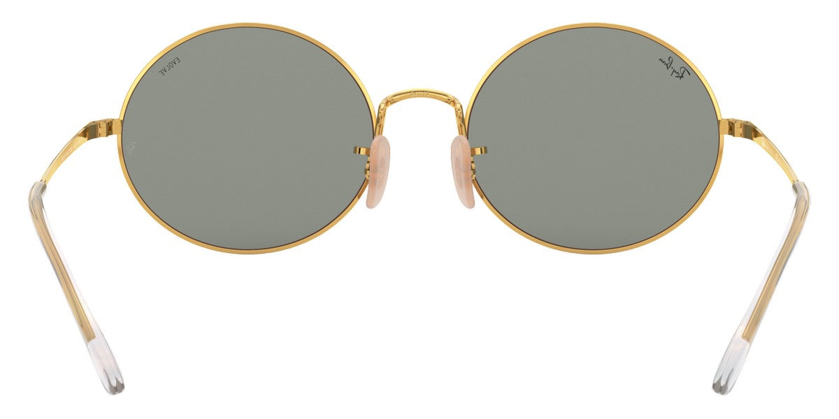 Ray-Ban® Oval RB1970   Sunglasses