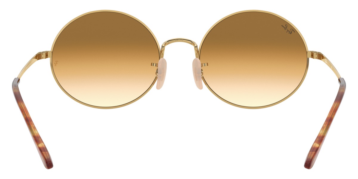 Ray-Ban® Oval RB1970   Sunglasses