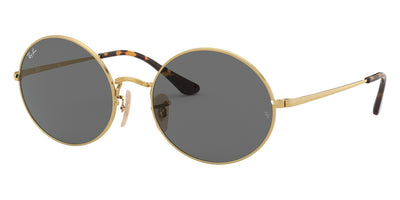 Ray-Ban® Oval RB1970   Sunglasses