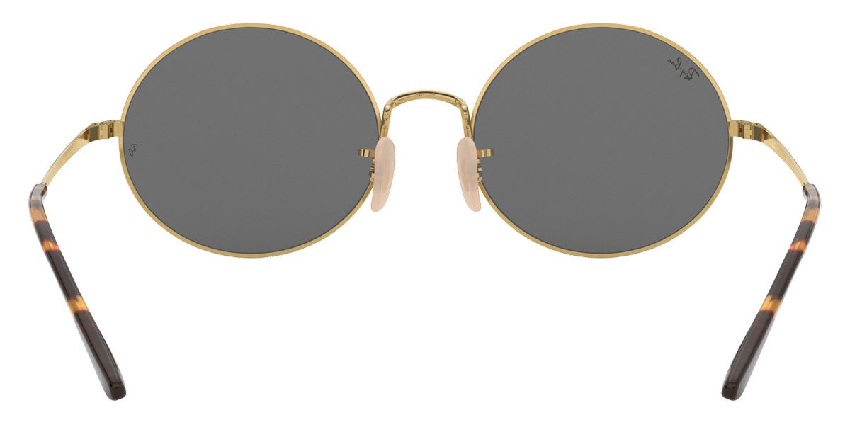 Ray-Ban® Oval RB1970   Sunglasses