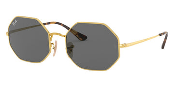 Ray-Ban® Octagon RB1972   Sunglasses