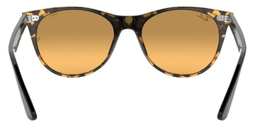 Ray-Ban® Wayfarer Ii RB2185   Sunglasses