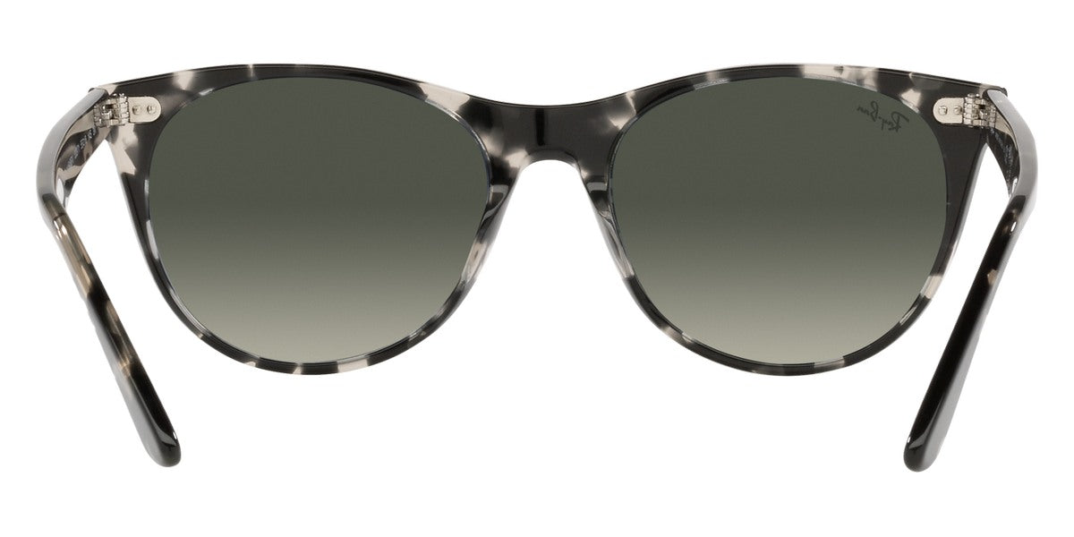 Ray-Ban® Wayfarer Ii RB2185   Sunglasses