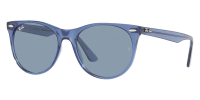 Ray-Ban® Wayfarer Ii RB2185   Sunglasses