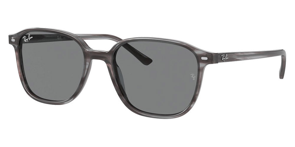 Ray-Ban® Leonard RB2193