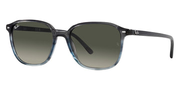 Ray-Ban® Leonard RB2193 RB2193 901/31 51 - Black with G-15 Green lenses Sunglasses