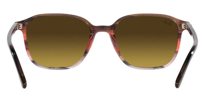 Ray-Ban® Leonard RB2193F   Sunglasses