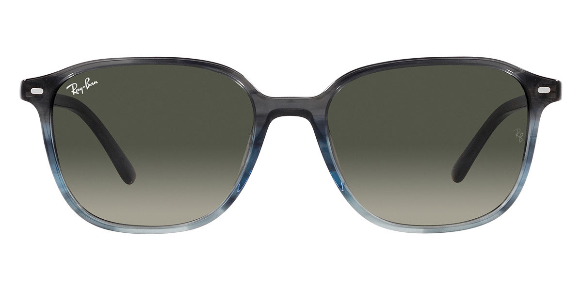 Ray-Ban® Leonard RB2193F