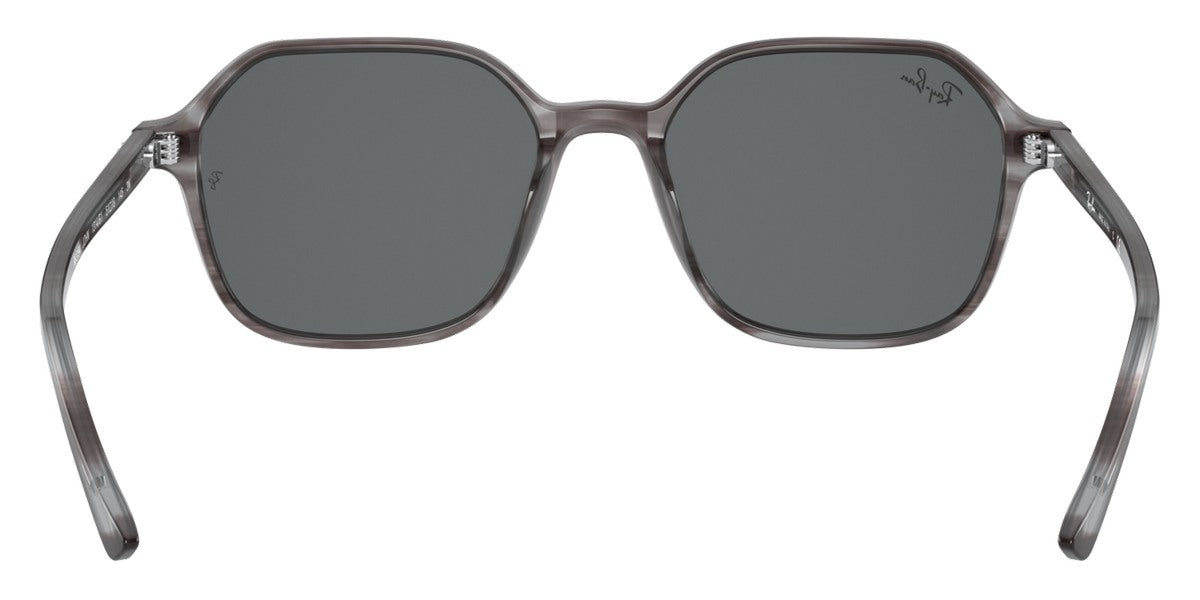 Ray-Ban® John RB2194   Sunglasses