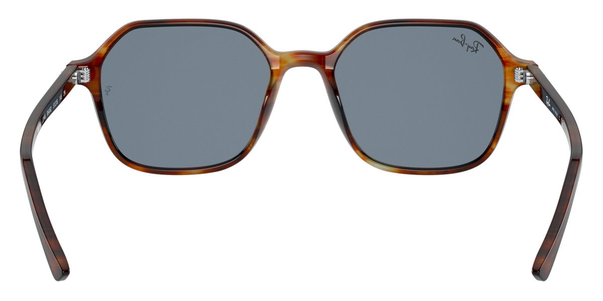 Ray-Ban® John RB2194   Sunglasses