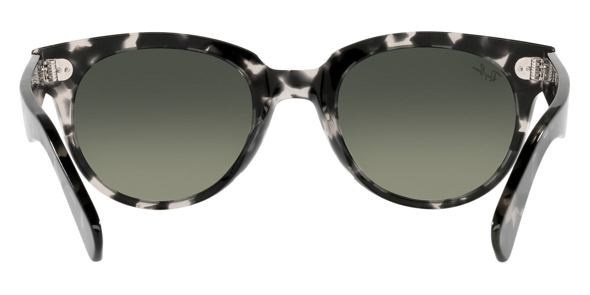 Ray-Ban® Orion RB2199   Sunglasses