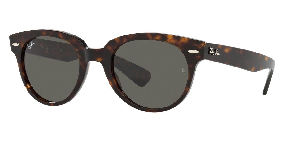 Ray-Ban® Orion RB2199   Sunglasses