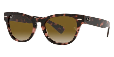 Ray-Ban® Laramie RB2201   Sunglasses