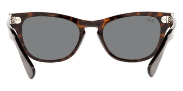 Ray-Ban® Laramie RB2201   Sunglasses