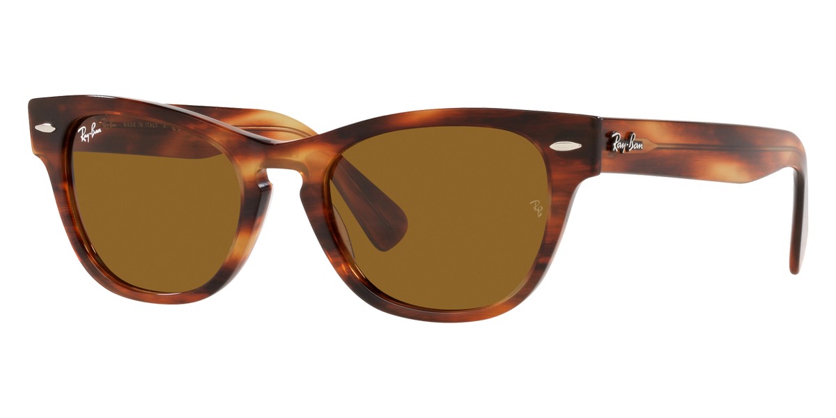 Ray-Ban® Laramie RB2201   Sunglasses