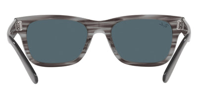 Ray-Ban® Mr BuRBank RB2283   Sunglasses