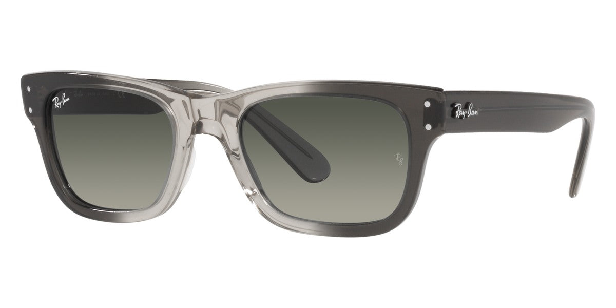 Ray-Ban® Mr BuRBank RB2283