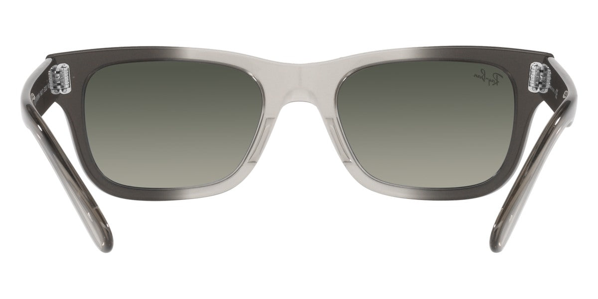 Ray-Ban® Mr BuRBank RB2283   Sunglasses